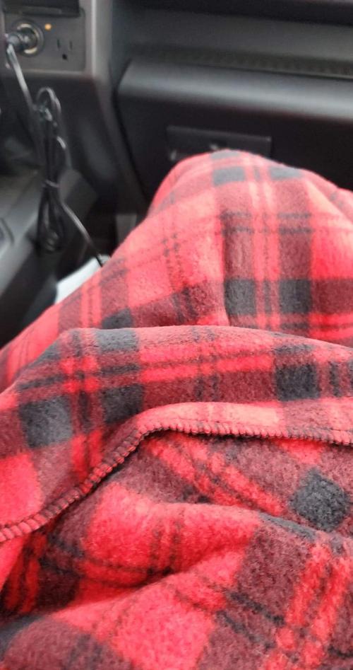 12V Car & Travel Heating Blanket photo review