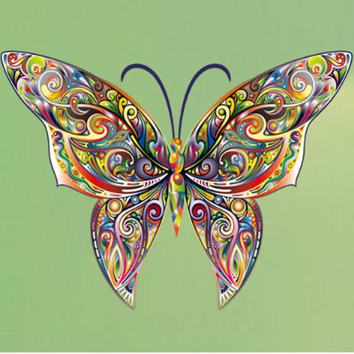 3D Colorful Butterfly Wall Art Decal for Living Room Bedroom