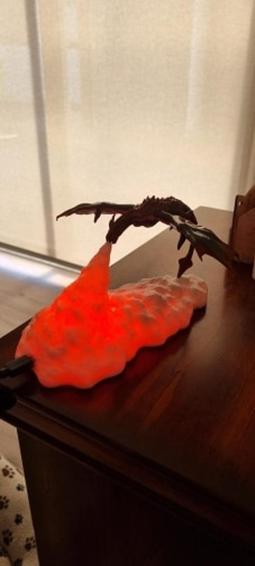 3D Printed Led Dragon Lamps photo review