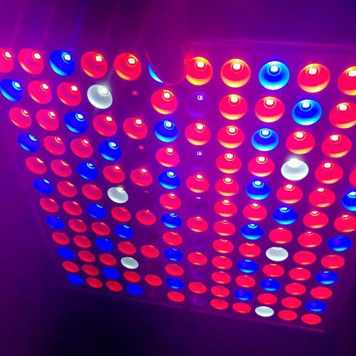 45W Led Plants Grow Light Full Spectrum Indoor Veg Flower Lamp Hydroponic photo review