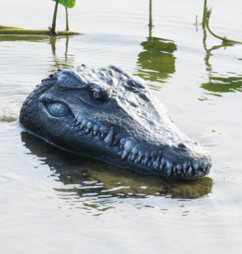 Crocodile Head Remote Control Boat