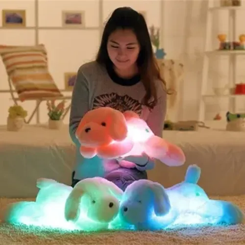 Cute Luminous Puppy