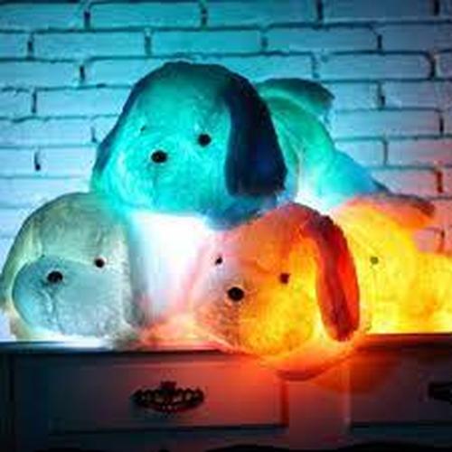 Cute Luminous Puppy