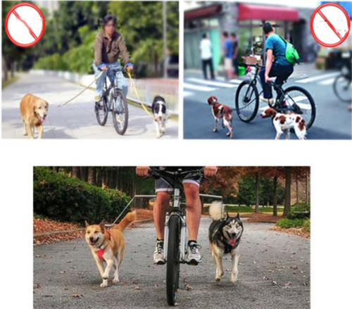 Dog Bicycle Leash Bike Attachment Hands Pet Training Walker, Bicycle Walking Dog Leash