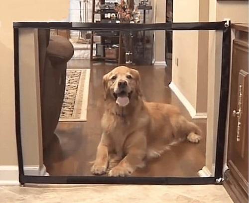 Dog Magic Gate Guard, The Dog Obstacles Security Fence