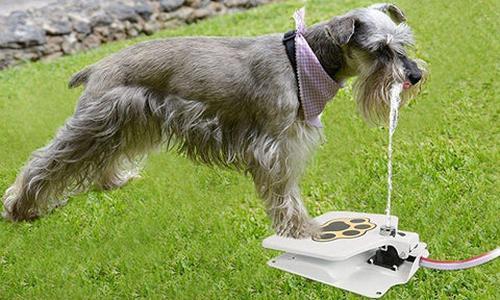 Doggie Water Fountain Sprinkler