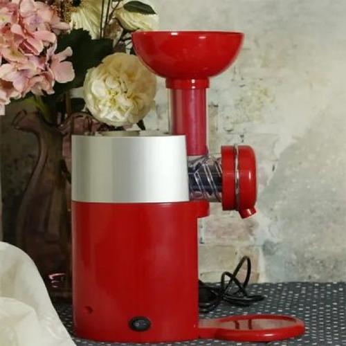 Frozen Fruit Ice Cream Maker Homemade Soft Serve Dessert Machine