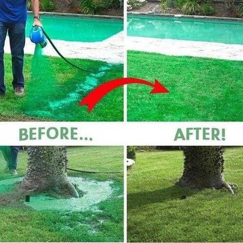 Grenn Grass Lawn Spray