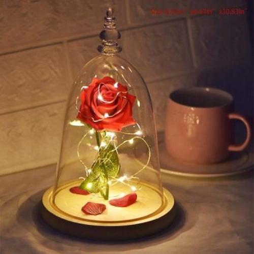 Immortal Enchanted Bell Rose Led Glass Display