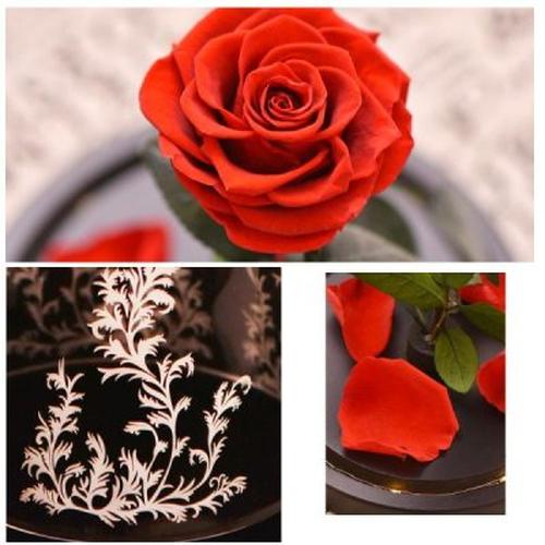 Immortal Enchanted Bell Rose Led Glass Display