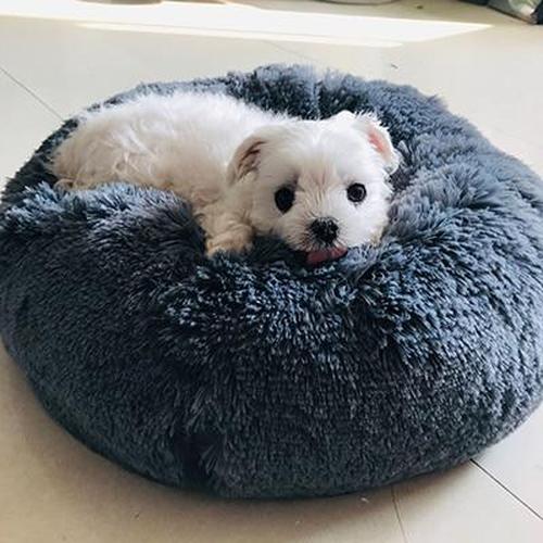 Marshmallow Cat Bed Calming Soft Round Bed