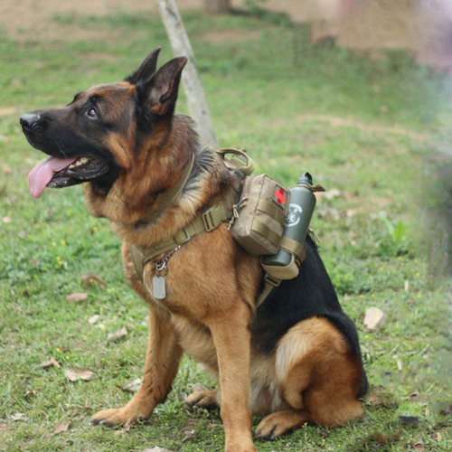 Military Tactical Dog Harness, Tactical Dog Clothes Outdoor Dog Vest