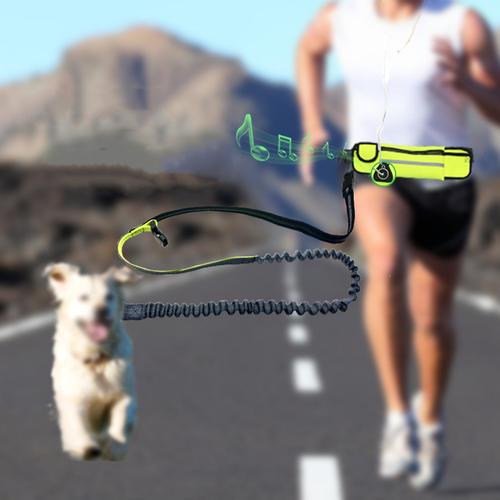 Multi Functional Waist Pouch Dog Leash