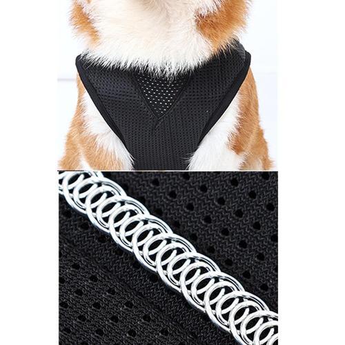 Pet Dog Back Brace for Various Sizes