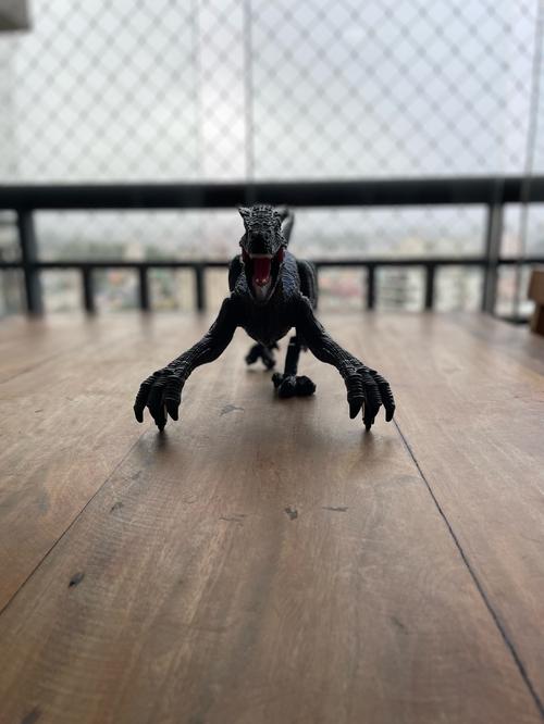 Remote Control Dinosaur photo review