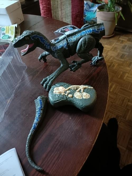 Remote Control Dinosaur photo review