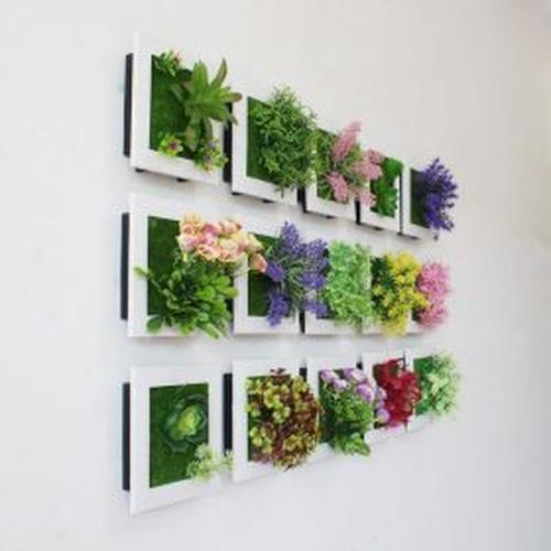 Succulent Wall Hanger Frame