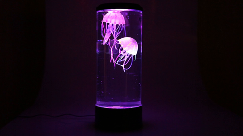 The Hypnotic Jellyfish Aquarium