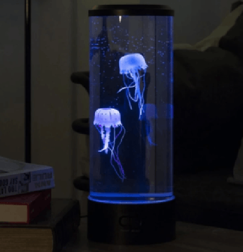 The Hypnotic Jellyfish Aquarium