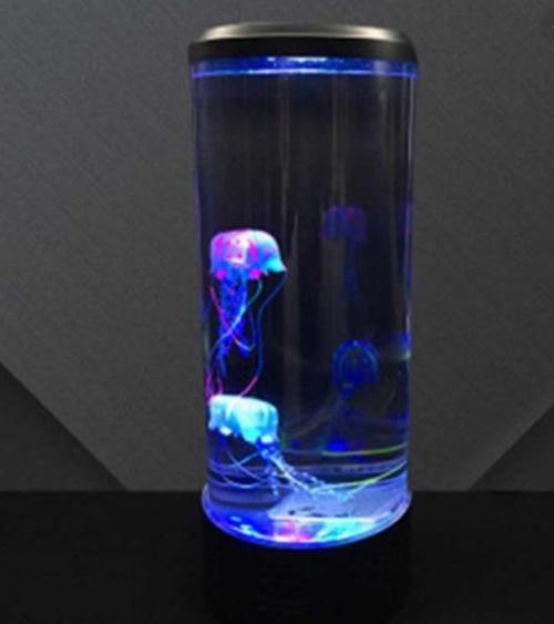 The Hypnotic Jellyfish Aquarium photo review