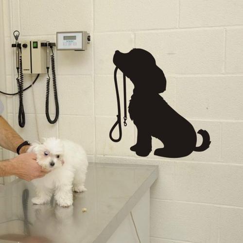 Vinyl Art Decals for Pet Shop Wall Decor - Grooming Dog Salon Posters