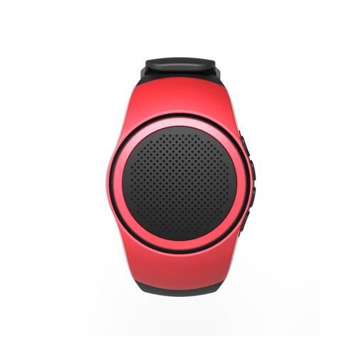 Wearable Music Watch