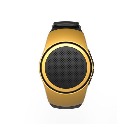 Wearable Music Watch