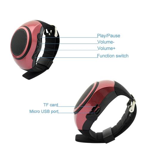 Wearable Music Watch