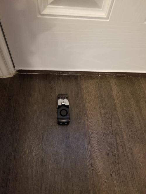 Wedge Door Stop Alarm photo review