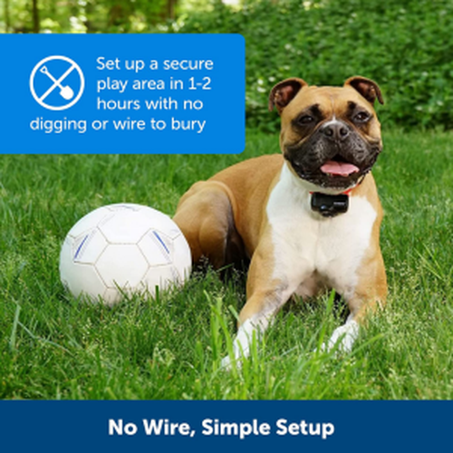 Wireless Pet Fence Collar System