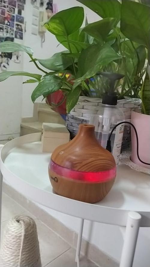 Wood Grain Aromatherapy USB Humidifier Drops Water Air Purification photo review