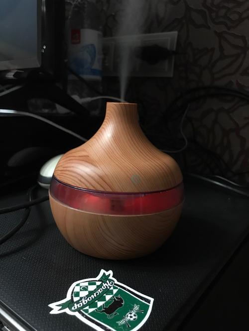 Wood Grain Aromatherapy USB Humidifier Drops Water Air Purification photo review